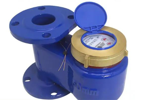 遠傳水表的型號和尺寸怎么選？ 圖2